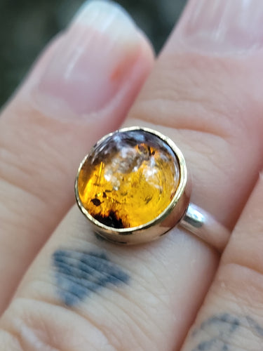 Baltic Amber Ring- Size 5