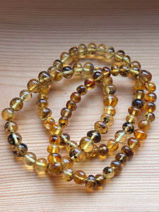 Baltic Amber Stretchy Bracelets