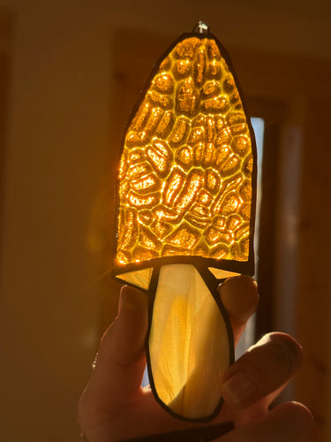 Yellow Morel~ Locally made stained glass mushroom suncatcher