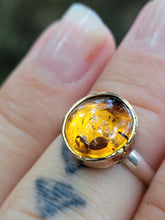 Load image into Gallery viewer, Baltic Amber Ring- Size 5