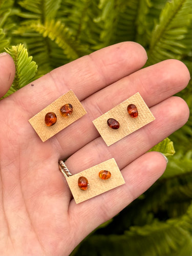 Baltic Amber Stud Earrings ~ solid sterling silver