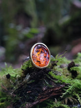 Load image into Gallery viewer, Baltic Amber Oval Ring - size 4