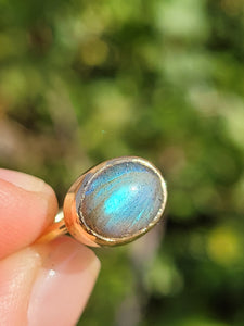 Little Labradorite Brass Ring ~ size 4.5