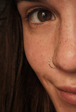 Load image into Gallery viewer, Ivy Ear &amp; Nose Rings, Faux and Hoops